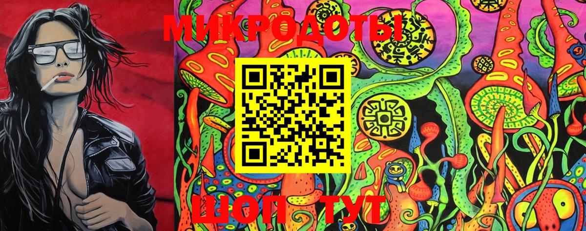 Галлюциногенные грибы Psilocybine cubensis Чернушка